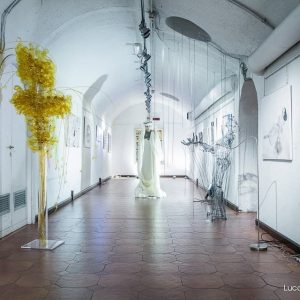Esposizione Triennale di Arti Visive a Roma 2011 - Foto 01
