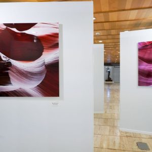 Esposizione Triennale di Arti Visive a Roma 2020-2021 - Foto 15